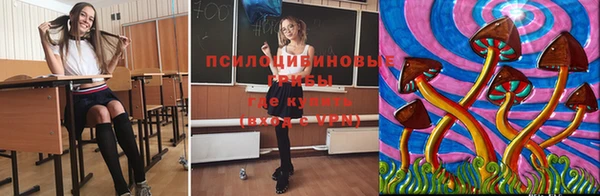 крисы Краснотурьинск
