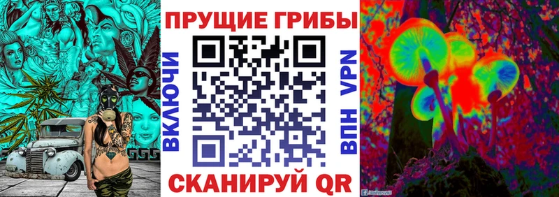 Галлюциногенные грибы прущие грибы  Обнинск 